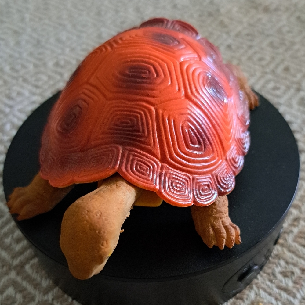 Let's talk turtles